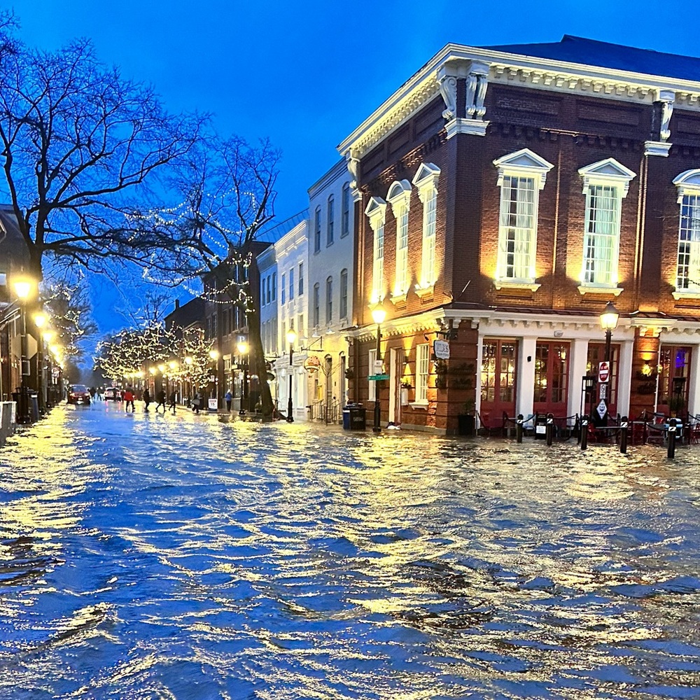 Meet your Posher, Hayley